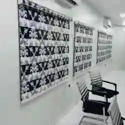 Window Blinds